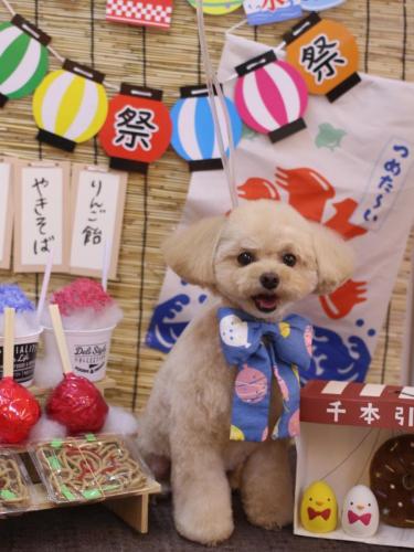 20240707むぎちゃん